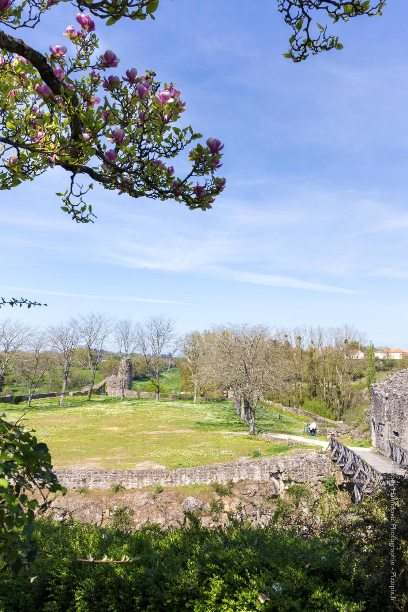 Petite Maison Medievale Parthenay Esterno foto